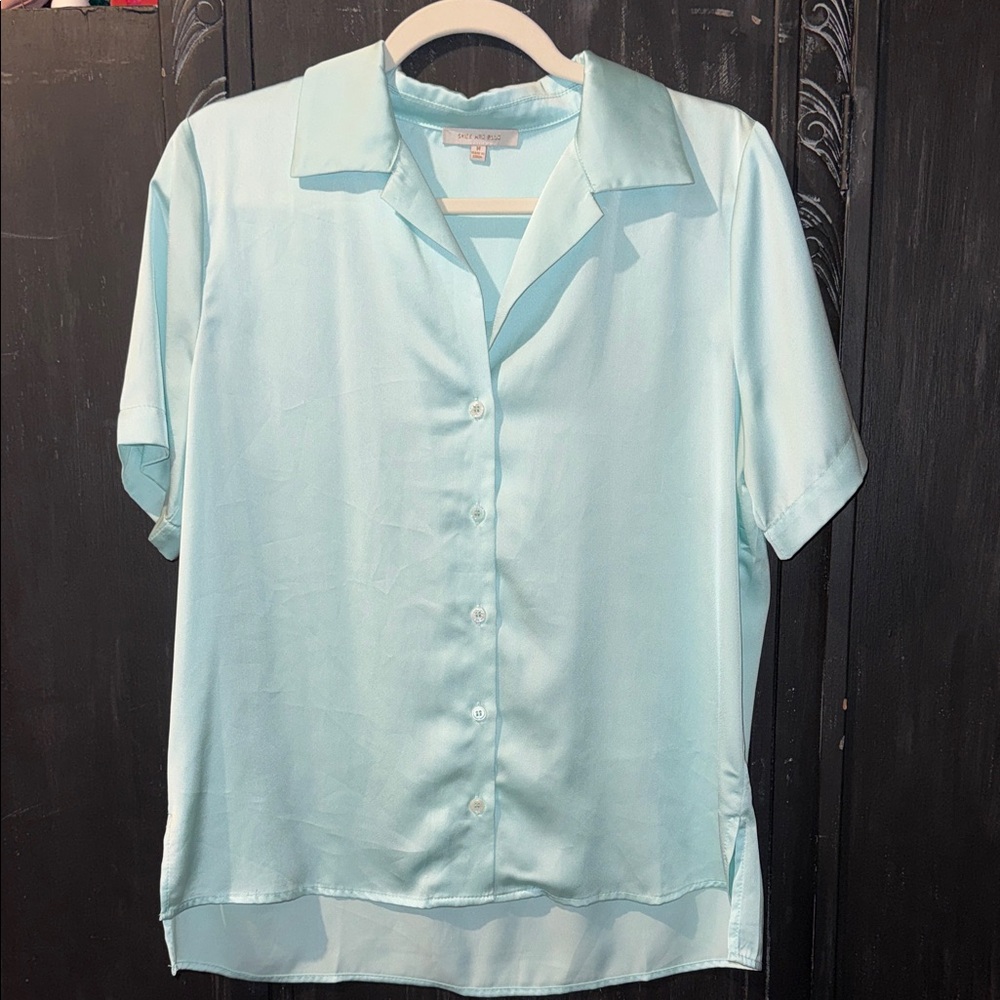Skies Are Blue Light Blue Satin Blouse